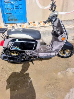 ماكس بوليسي