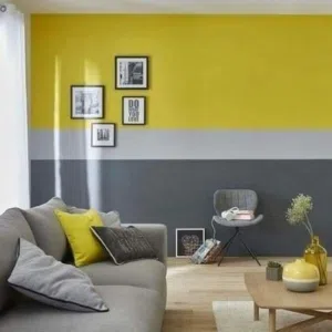 door panting and villa panting all tyep painting work