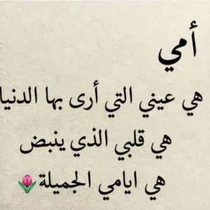 Ahmad saif 