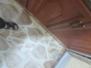 سمك للبيع في مخيم البقعة