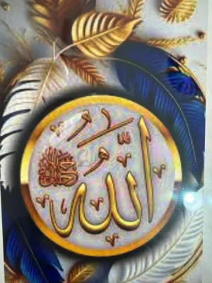 مطلوب شخص على خلق لمشاركة سكن