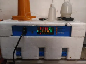 فقاسة 64 بيضه استخدام يومين بسعر حررق