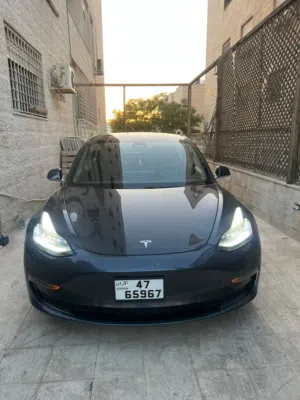 Used Tesla Model 3 in Amman