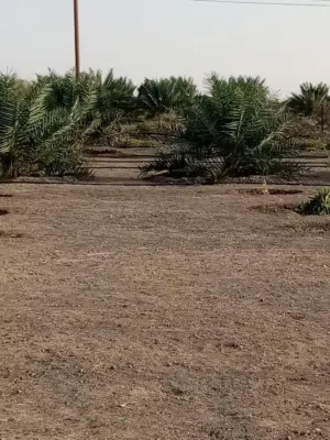 ارض زراعيه انتفاع