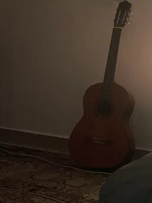 مستعمل جيتار