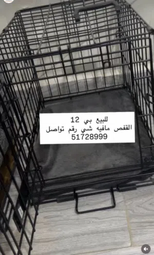 قفص مافيه شي وكان يكفي قطاوتي الاثنين