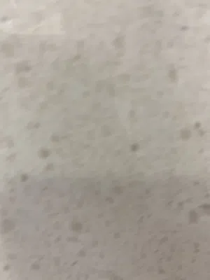 للايجار سرادب في الشعب