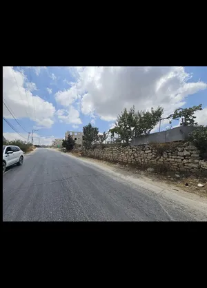 Mixed Use . 1497 m2 . Landlord0