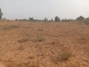 Mixed Use Land for Rent in Tripoli Wadi Al-Rabi