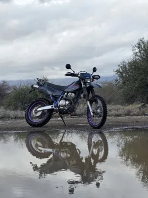 TTR250 YAMAHA للبيع