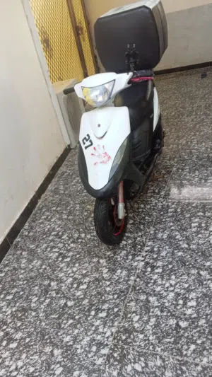 ماكس عدله للبيع