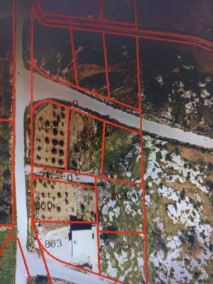 Residential Land for Sale in Irbid Kufr Asad