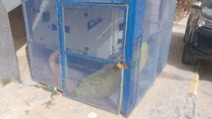 مولد تركي 30 kva