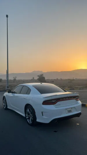 دوج خليجي 2020
