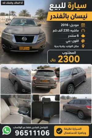 باثفندر 2016