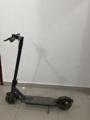 Electric scooters