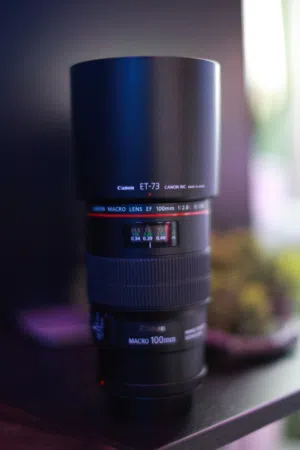 Canon EF 100mm f/2.8L Macro IS USM