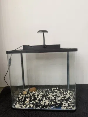 Fish aquarium bought for 30 Bd selling 20 Bd