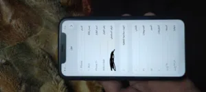 Apple iPhone 11 64 GB in Amman