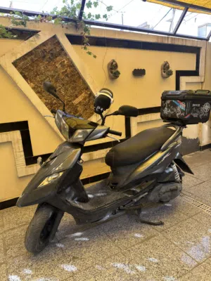 دراجة ثعلب 140