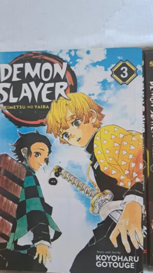 Demon Slayer manga volumes (collection) - Volumes 1 to 23 without number 17