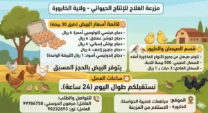 بيع بيض دواجن الزينة وبيض سمان صيني وعادي