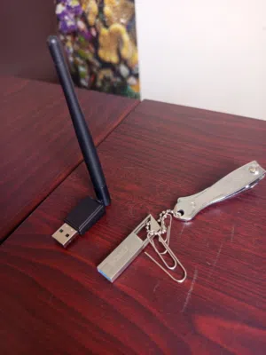 Wireless auditing ( Network security)