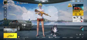 حساب ببجي للبيع