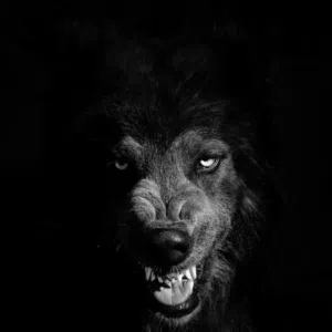 king king
