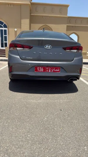 Hyundai . Sonata . Daily0