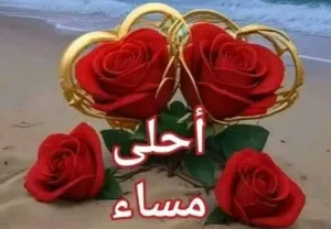 معتصم مصطفى عطالله عميره 