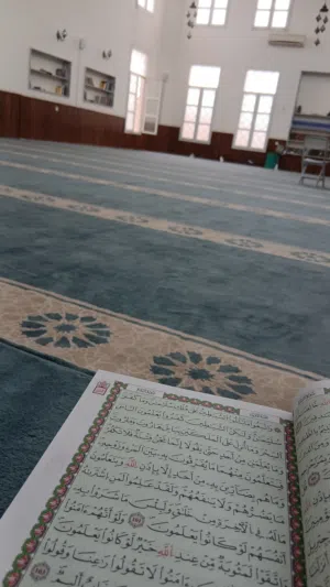 مصطغى طارق محمد الزناتي 