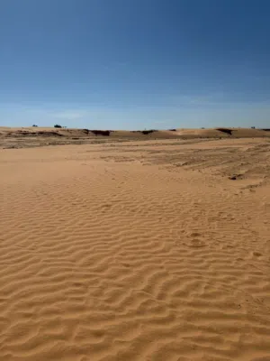 عقار مسح...... للبيع في زاوية الدهماني