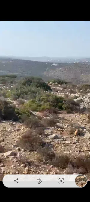 Residential Land for Sale in Ramallah and Al-Bireh Kafr Ni'ma