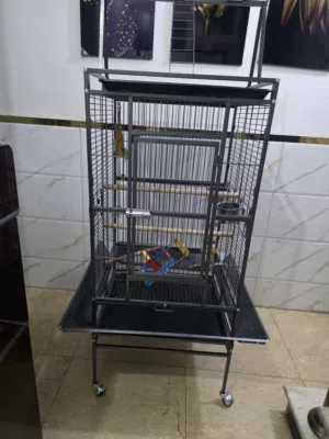 قفص ببغاء وستان للبيع