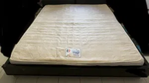 فرشة ديموس