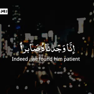 محمد عبدالرحمن