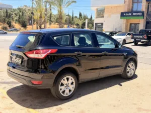 فورد اسكيب ممشى قليل من المالك