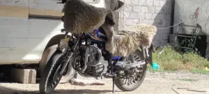 متر زلزال جديد