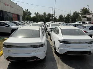 BYD ‏Other ‏2025