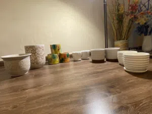 Beautiful Ceramic Pots for indoor plants