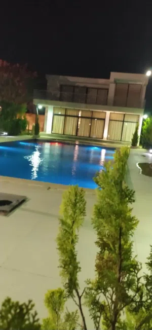 الوكيل للاستيراد الكوري 