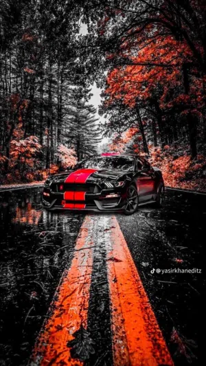 يوسف