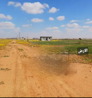 فرصه للبيع ارض في اخر شارع الغاز للبيع  هكتار ونص   الارض طين ولاجراءت سليمه 100×100 كاش او خدمات