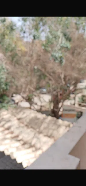 عقار كامل للبيع