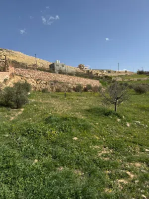 Farm Land for Sale in Zarqa Sarout