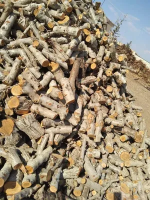 ‏تخييم ‏.‏ مستعمل‏0