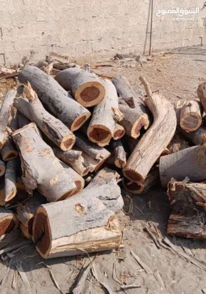 حطب سمر اصلي مال جبال