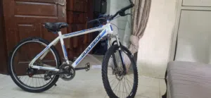 gloden porshe cycle