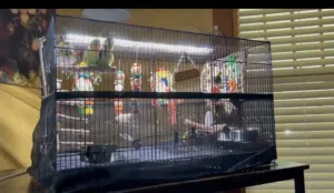 اضاءة طيور و زواحف واسماك LED تحاكي ضوء الشمس الطبيعي